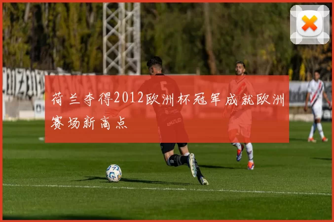荷兰夺得2012欧洲杯冠军成就欧洲赛场新高点