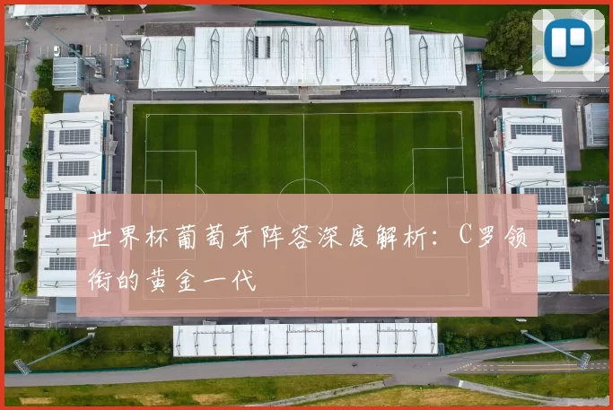 世界杯葡萄牙阵容深度解析：C罗领衔的黄金一代