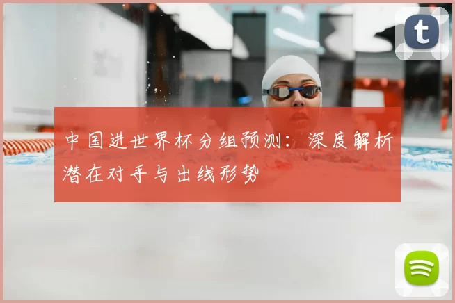 中国进世界杯分组预测：深度解析潜在对手与出线形势