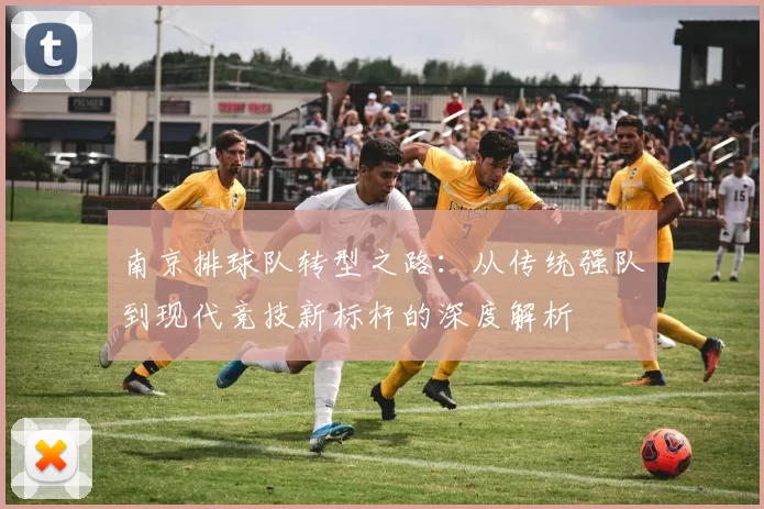 南京排球队转型之路：从传统强队到现代竞技新标杆的深度解析