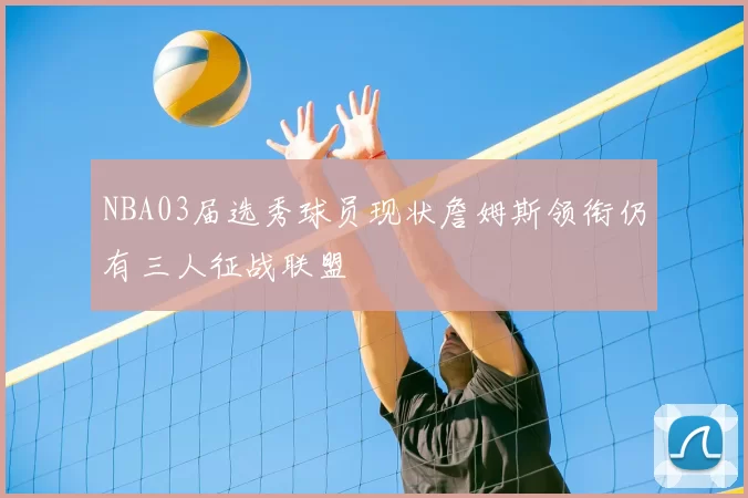 NBA03届选秀球员现状詹姆斯领衔仍有三人征战联盟