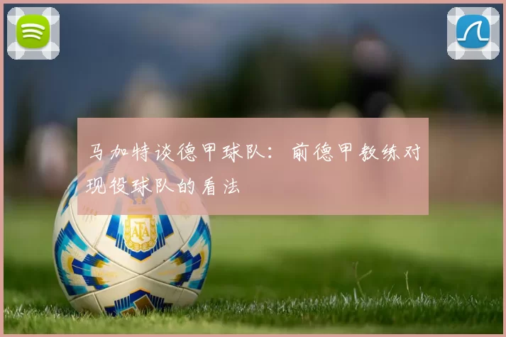 马加特谈德甲球队：前德甲教练对现役球队的看法
