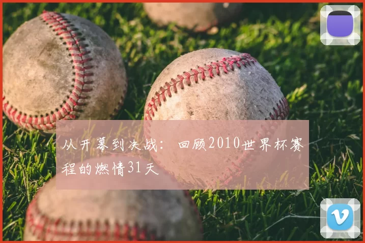 从开幕到决战：回顾2010世界杯赛程的燃情31天