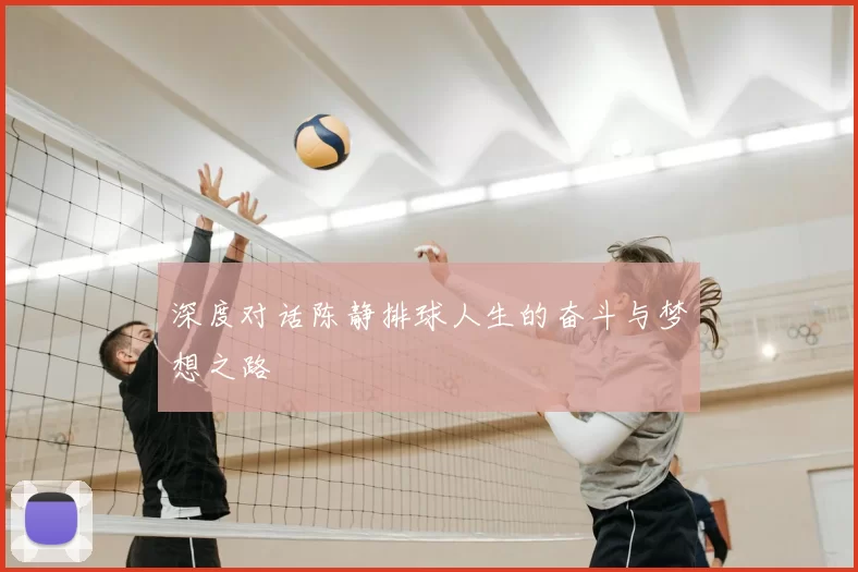 深度对话陈静排球人生的奋斗与梦想之路