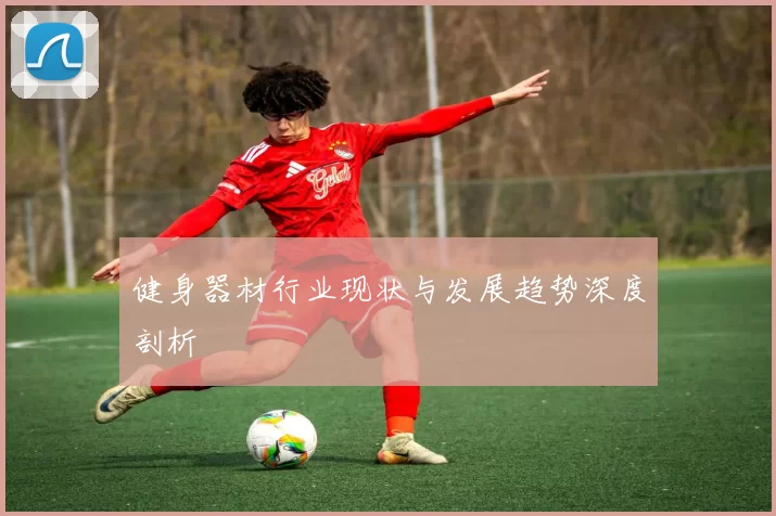 健身器材行业现状与发展趋势深度剖析