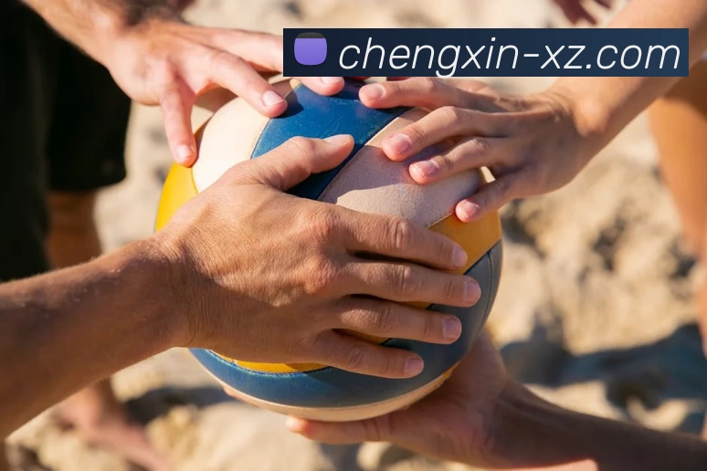 奖项图2